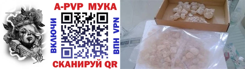 Альфа ПВП СК КРИС  Кущёвская 