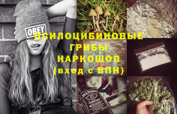 mdma Бородино